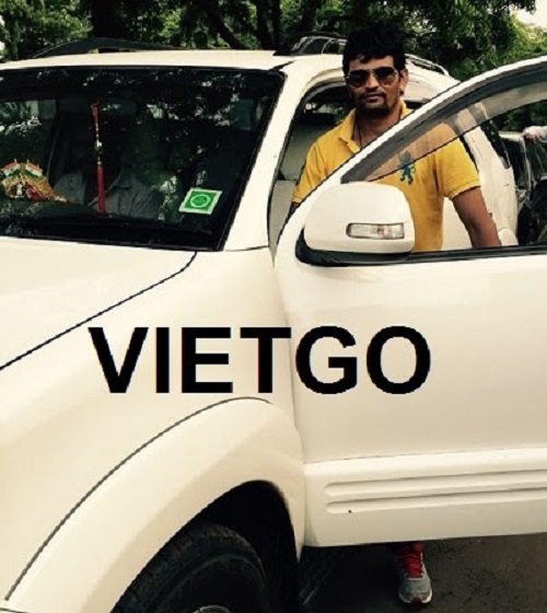 Gỗ thông xẻ - VIETGO