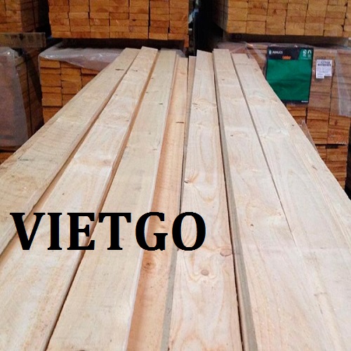 Gỗ thông xẻ - VIETGO