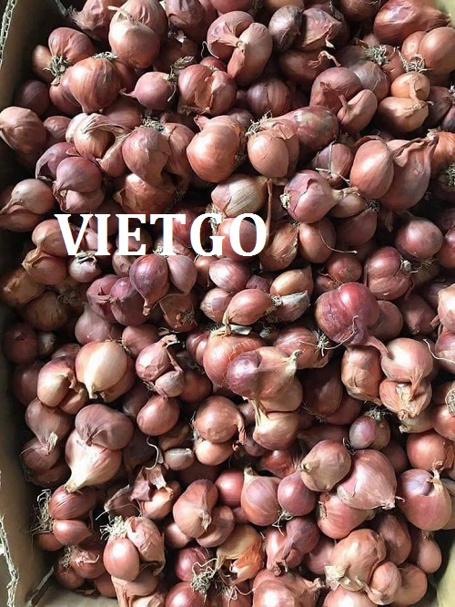 Hành khô - VIETGO