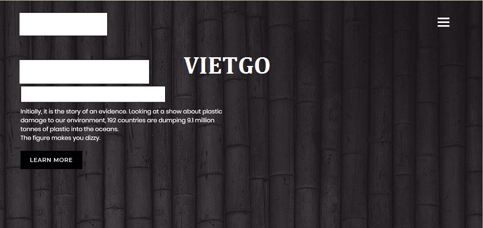 Than trắng - VIETGO