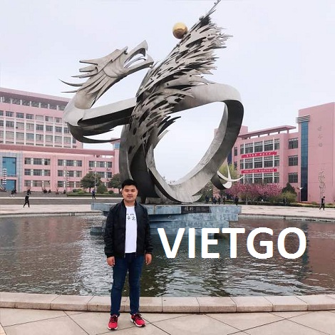 Cat song - VIETGO
