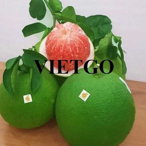 (Gấp) Cơ hội hợp tác xuất khẩu quả bưởi đến thị trường Singapore