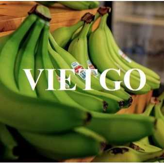(Gấp) Thương vụ xuất khẩu chuối sang thị trường UAE và Hoa Kỳ