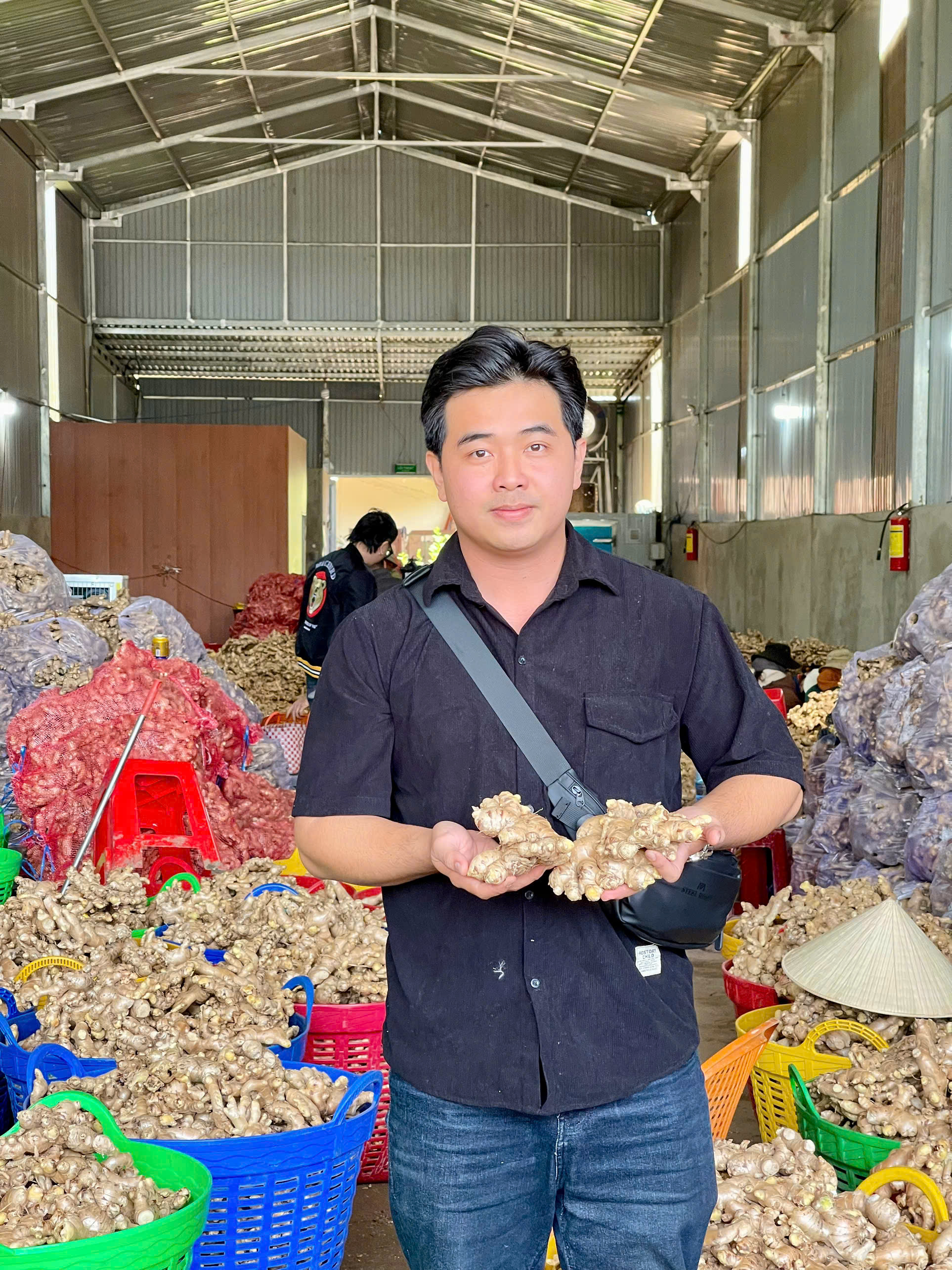 TÌM FWD có kinh nghiệm hàng gừng tươi - Cảng JEBEL ALI 