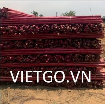 Nhà nhập khẩu Ấn Độ cần mua gậy tre