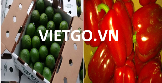 Cty Tây Ban Nha muốn nhập tỏi trắng từ Việt Nam để bán tại Hoa Kỳ