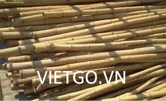 Nhà nhập khẩu Các tiểu vương quốc Ả rập thống nhất cần mua gậy tre