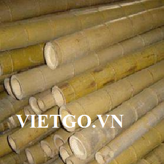Cơ hội xuất khẩu 5-40 triệu gậy tre Moso sang Bangladesh