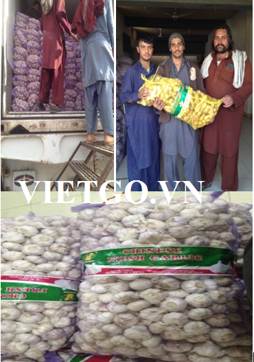 Cơ hội xuất khẩu trà đen sang Afghanistan