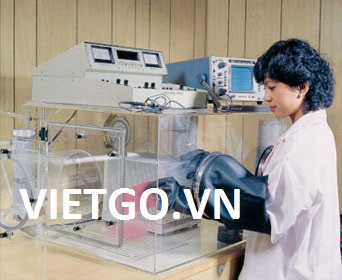 Nhà nhập khẩu Malaysia cần mua gỗ keo với số lượng lớn (GẤP)