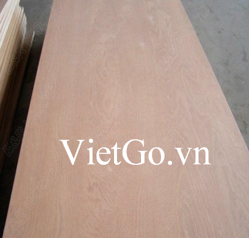 Cơ hội xuất khẩu ván bóc mặt gỗ dầu số lượng lớn sang Ấn Độ