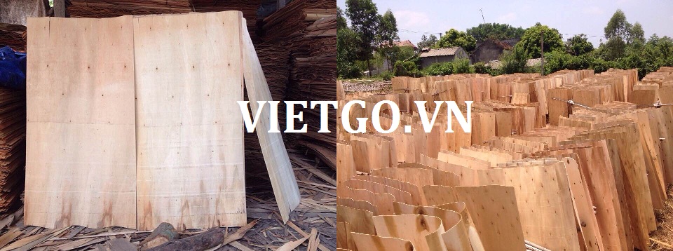 Cơ hội xuất khẩu 10.000m3 ván bóc lõi bạch đàn sang Trung Quốc mỗi tháng