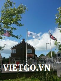 (Gấp) Nhà nhập khẩu Scotland cần mua 500 tấn ngô vàng để sản xuất thức ăn gia súc