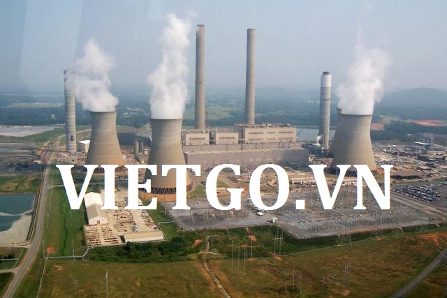 Nhà nhập khẩu người Hoa Kỳ cần mua 5.000-10.000 tấn viên nén mùn cưa