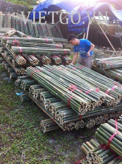  Cơ hội xuất khẩu 1.200 chiếc gậy tre sang Thổ Nhĩ Kỳ.