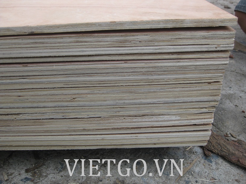 Cơ hội xuất khẩu 5 container gỗ dán sang Ấn Độ
