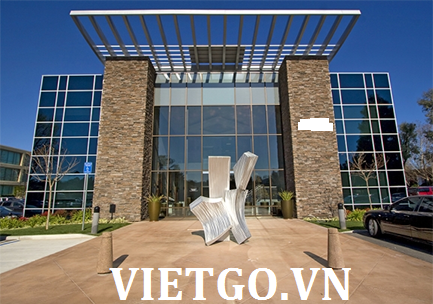 (Gấp) Cơ hội xuất khẩu gỗ bạch đàn và keo vụn sang Trung Quốc