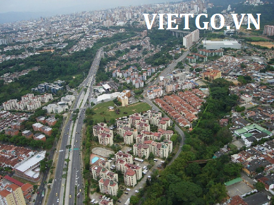 Cơ hội xuất khẩu gỗ thông xẻ sang Colombia