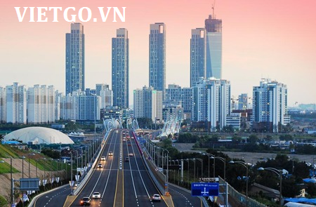 (Gấp) Nhà nhập khẩu gỗ Hàn Quốc cần mua 12.000 cây gỗ bạch đàn tròn