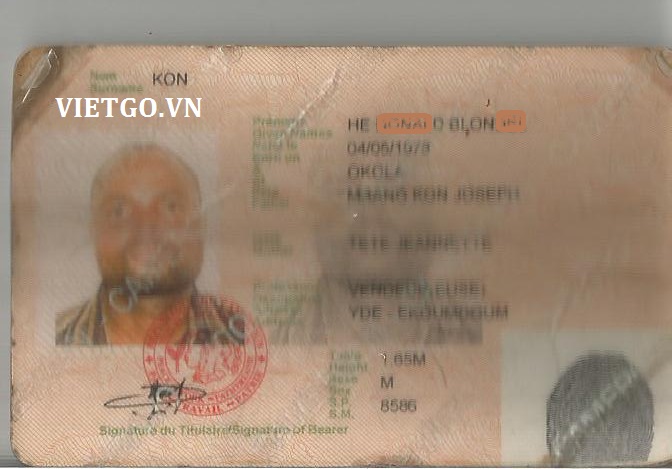 (Gấp) Nhà nhập khẩu Cameroon cần mua 20 tấn ngô