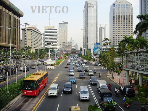 Cơ hội xuất khẩu ván ghép thanh sang Tây Ban Nha
