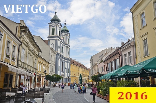 Nhà nhập khẩu Hungary cần mua 10.000m3 gỗ thông tròn mỗi tháng cho cả năm 2016 để xuất sang Trung Quốc