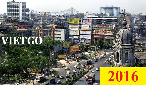 Nhà nhập khẩu Ấn Độ cần mua gỗ thông vụn cho cả năm 2016