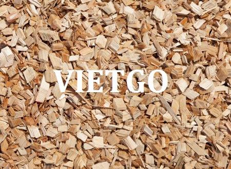 Cơ hội xuất khẩu 20.000 tấn gỗ bạch đàn vụn sang Trung Quốc