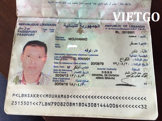 Nhà nhập khẩu Li Băng cần mua 33 tấn gỗ thông tròn mỗi tháng
