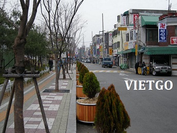 Cơ hội xuất khẩu 5.000 tấn dăm bào sang Hàn Quốc