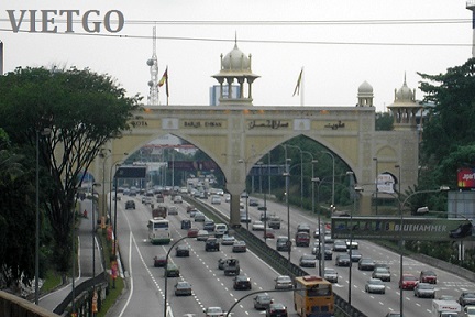 (Gấp) Cơ hội xuất khẩu gỗ bạch đàn hoặc keo vụn sang Malaysia