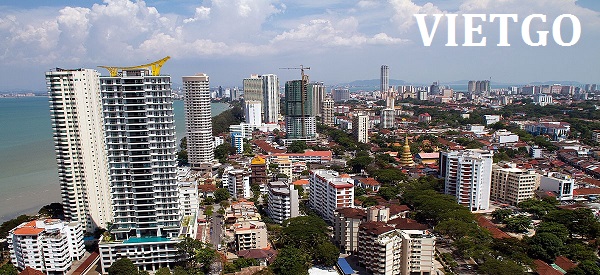 Cơ hội xuất khẩu số lượng lớn gỗ bạch đàn vụn sang Malaysia