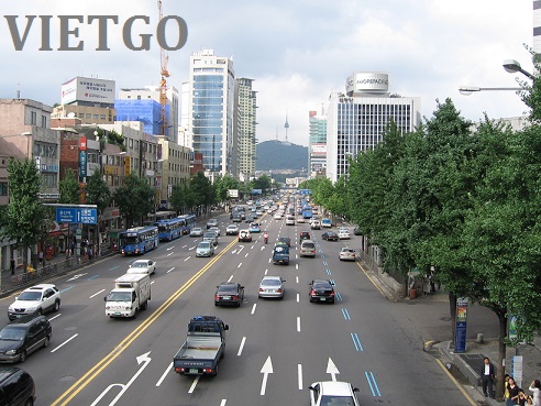 Cơ hội xuất khẩu gỗ bạch đàn tròn sang Trung Quốc