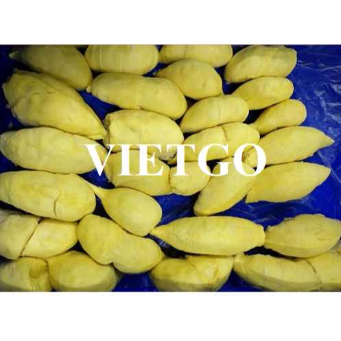 Cơ hội hợp tác xuất khẩu sầu riêng đông lạnh số lượng lớn sang thị trường Trung Quốc