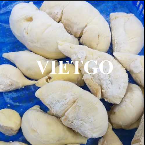 Thương vụ xuất khẩu sầu riêng đông lạnh sang thị trường Trung Quốc