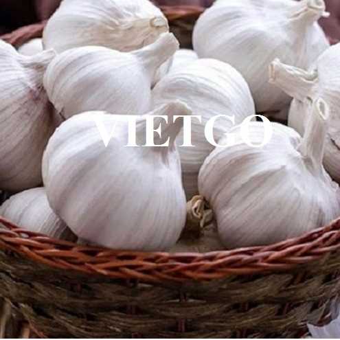 Cơ hội xuất khẩu tỏi đến thị trường Ả Rập Xê Út