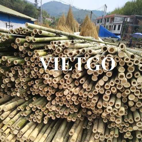 Cơ hội xuất khẩu gậy tre sang thị trường Ấn Độ