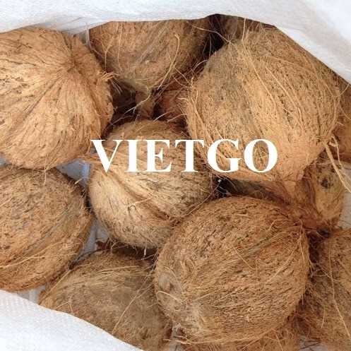 Cơ hội hợp tác xuất khẩu dừa sang thị trường Dubai 