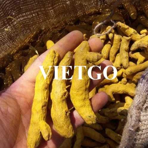 Cơ hội xuất khẩu nghệ khô đến thị trường Nga