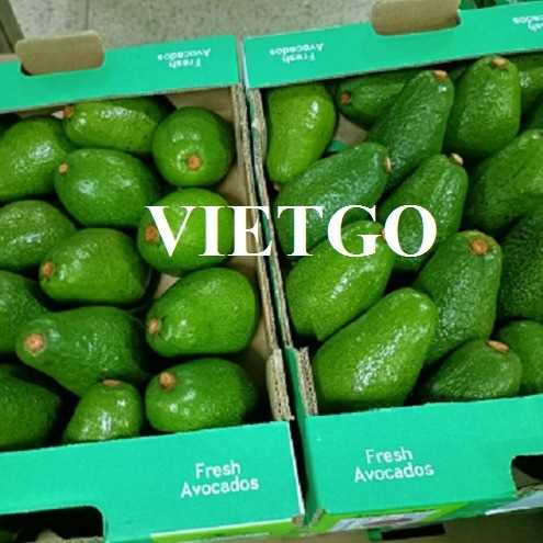Cơ hội hợp tác xuất khẩu bơ đến thị trường UAE