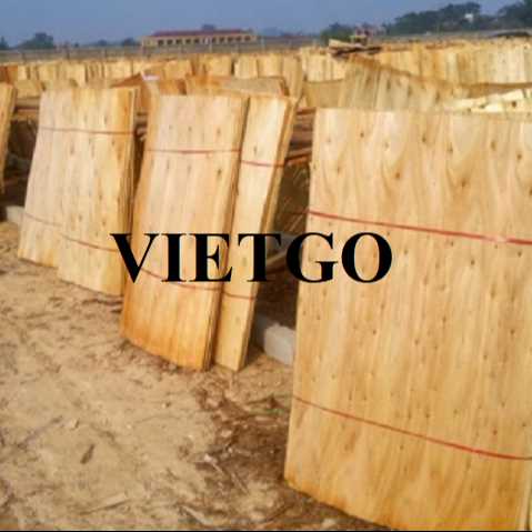 Thương vụ xuất khẩu ván bóc sang thị trường Ấn Độ