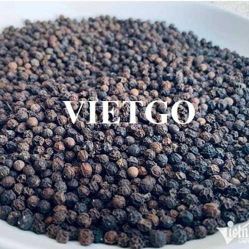 Cơ hội xuất khẩu hạt tiêu đến thị trường Ấn Độ