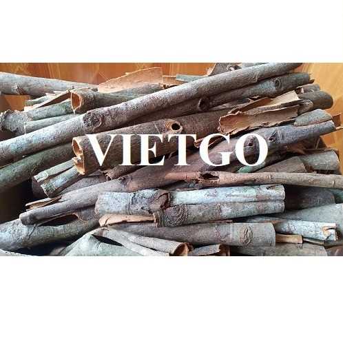 Cơ hội xuất khẩu sản phẩm quế sang thị trường Ấn Độ