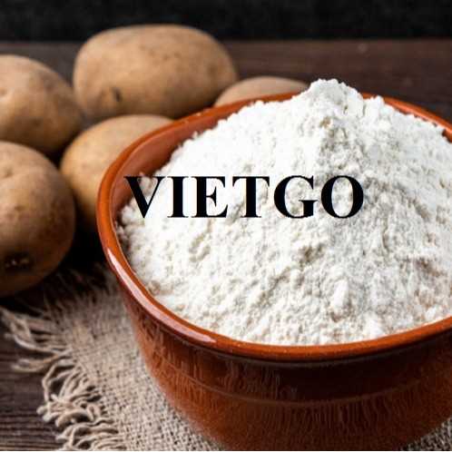 Thương vụ xuất khẩu tinh bột khoai tây sang thị trường Trung Quốc 