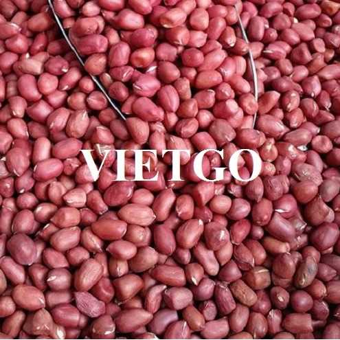 Cơ hội giao thương xuất khẩu lạc tới từ vị khách hàng người Tây Ban Nha 