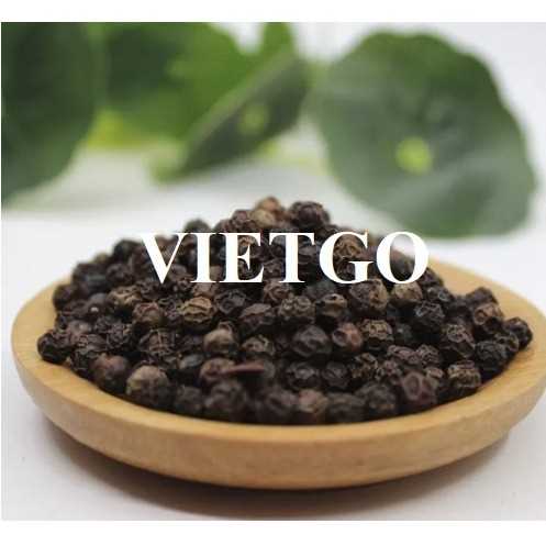 Cơ hội xuất khẩu sản phẩm hạt tiêu sang thị trường Ấn Độ