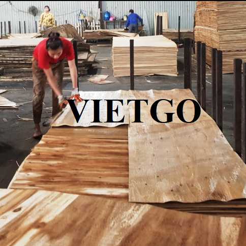Thương vụ xuất khẩu ván bóc sang thị trường Ai Cập
