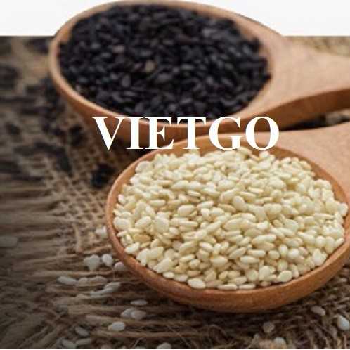 Cơ hội hợp tác xuất khẩu hạt mè đến thị trường Thổ Nhĩ Kỳ