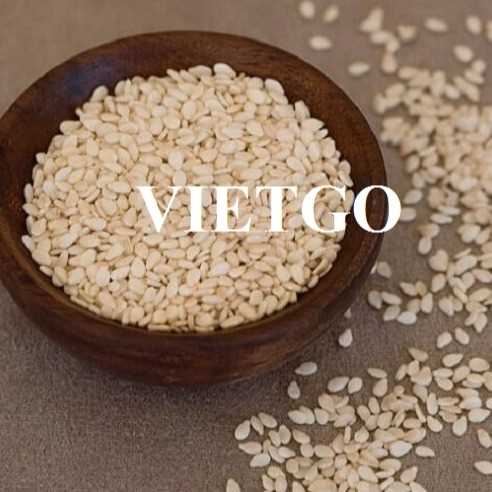 Cơ hội hợp tác xuất khẩu hạt mè đến thị trường Slovenia, Đức và Hà Lan