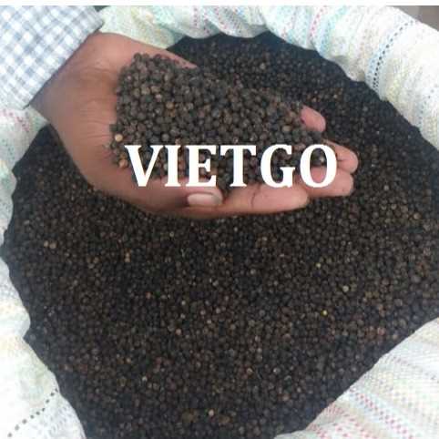Cơ hội xuất khẩu hạt tiêu đến thị trường Ấn Độ